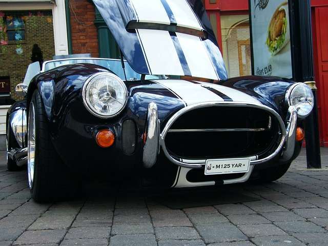 cobra-18985_640 Cobra